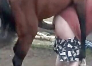 Pony bestiality porn