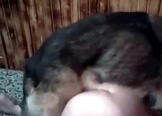 Dog fucks real good on cam