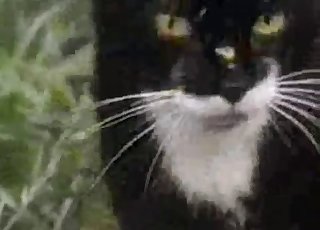 Bestiality vid with a surprising twist