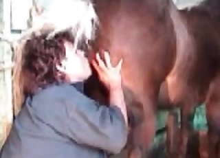 Stallion enjoys bestiality in the barn