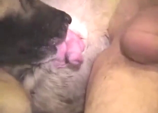 Dude's ass is going to get rammed by a dog