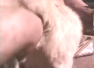 Serial gapist is going to finger that kitty's hole