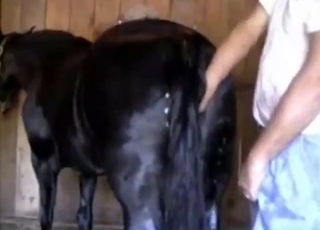 Dude gets to massage and gape mare cunts