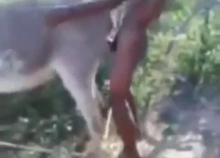 Naked guy goes berserker mode on this donkey