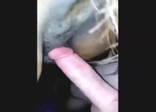 Horse zoo sex with lots of thrusting, gaping