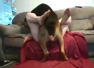 Zoo porn movie with a dog that blows big loads