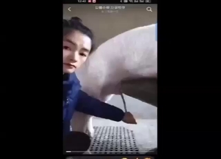 Pig porn scene with a Chinese lady sucking hard