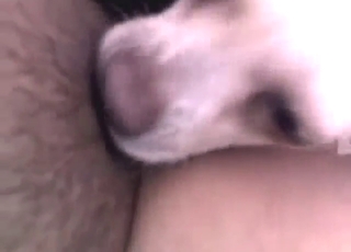 MILF feeds her sexy clit to this kinky animal