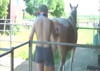 Dude fucks a mare's pussy with his entire fist