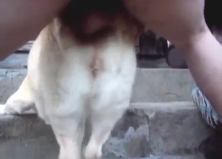 Canine baddie never gets this frisky, too