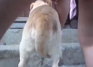 Canine baddie never gets this frisky, too