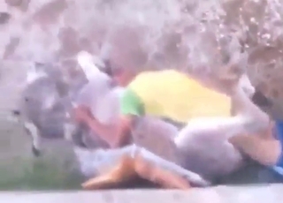 Submissive donkey in zoo porn with a male zoophile