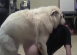 German dog drilling to that tight opening here