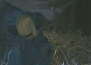 Bull BJ scene with hot animal that gets right off