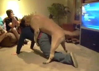 Doggystyle fucking with a dude in his clothes