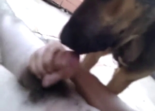 Cum-cleaning sexy animal is going to get him off