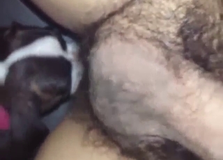 Adorable puppy worships his asshole in POV