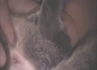 Dude wants to make cat cum in zoo sex video