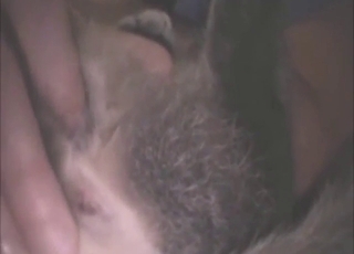 Dude wants to make cat cum in zoo sex video