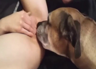 Brown dog licking that wet pussy in zoo XXX