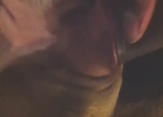 Bitch-ass fuck with a zoophile who wants orgasms