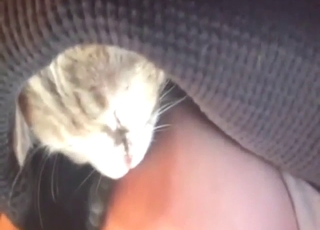 Cat kink zoophile porn movie with hot licking