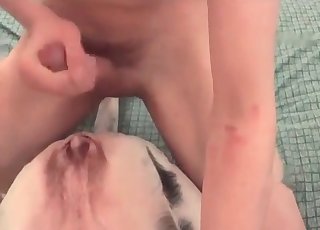 Cumshot for a passionate doggy