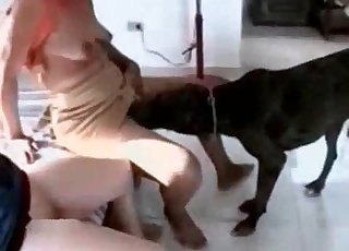 Redhead with big tits fucks with her labrador