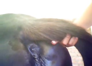 Dude rams his cock deep inside that h ole