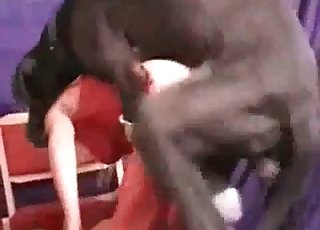 Cat is into dog fucking, enjoy