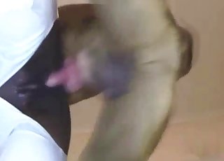 Black babe gets fucked by a horny dog