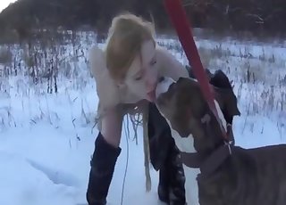 Outdoor sex on the snow with a dog