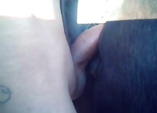 Sensational fuck with a massive horse