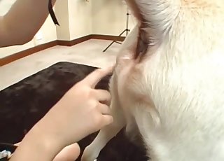 Asian maid gives a rimjob for her doggy