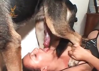 German doggy is banging like a crazy one