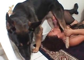 German doggy is banging like a crazy one