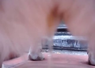 You will see something you haven't seen