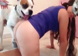 Animal porn session with a white dog