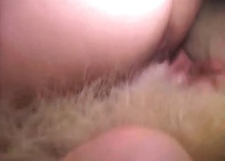 Sticking my doggy dick in my tight anus