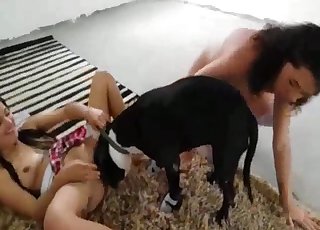 Two hot brunettes are fucking with a dog